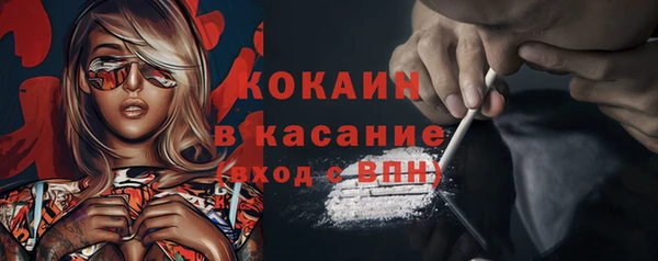 PSILOCYBIN Бородино