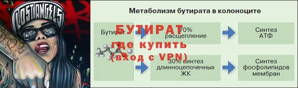 PSILOCYBIN Бородино