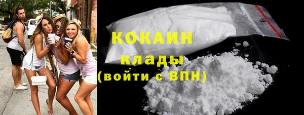 PSILOCYBIN Бородино